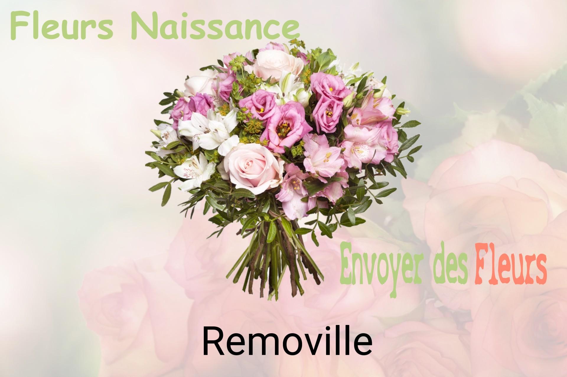 Bouquet de fleurs de naissance livré à Removille